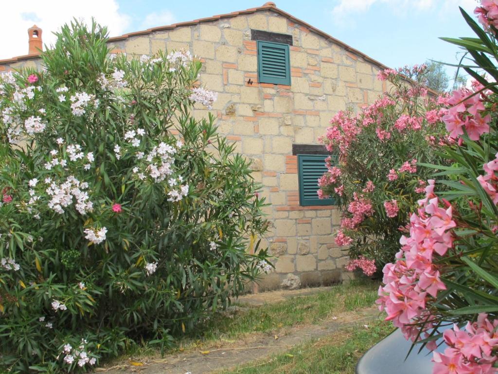 Il Borgo Centro Vacanze Guardistallo Quarto foto